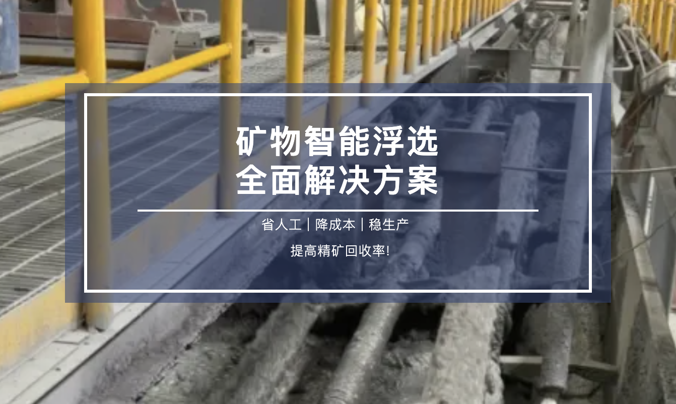 穩(wěn)定高效，降本增效，智能浮選全面解決方案！